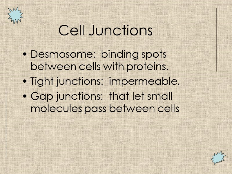 Cell Junctions  Desmosome:  binding spots between cells with proteins. Tight junctions: 